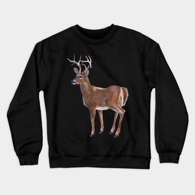 Whitetail Deer Buck Crewneck Sweatshirt by Dual Rogue